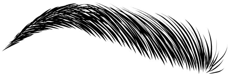 עיצוב הגבה המושלמת